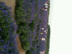 android_upload_pic-赛汗塔拉风情园