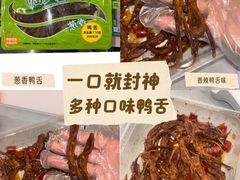 -郴州特产舜华临武鸭(郴州西站店)