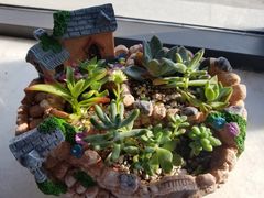 -肖为民麻糕(双桂坊店)