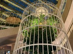 -云海肴·汽锅鸡·云南菜(高德置地店)