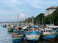 -尼甘布海鲜市场