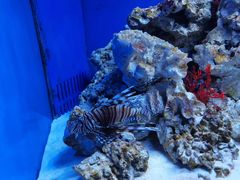 -多彩贵州城极地海洋世界