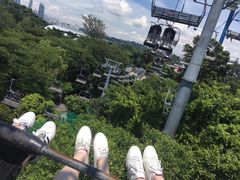 -圣淘沙天际线斜坡滑车