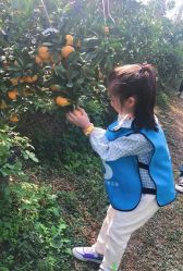 -前小桔亲子创意农场·草莓采摘·露营烧烤