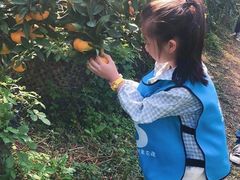 -前小桔亲子创意农场·草莓采摘·露营烧烤