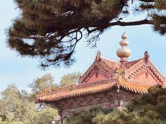 -北陵公园