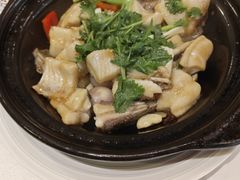 -广州建国酒店-盈丰阁粤菜-粤式茶点