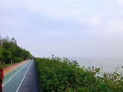 -贡湖湾湿地公园