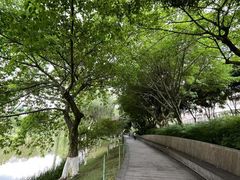 -沐仙湖湿地公园
