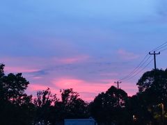 -春花秋色城市公园