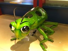 -上海昆虫博物馆