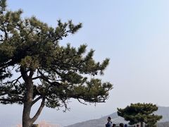 -香山公园