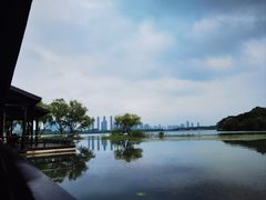 -渤公岛生态公园