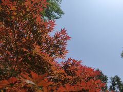 -中国农业博物馆