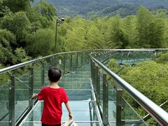 -陶祖圣境风景区