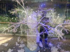 -花之城
