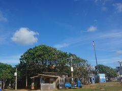 -尼甘布海滩