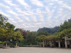 -火炉山森林公园