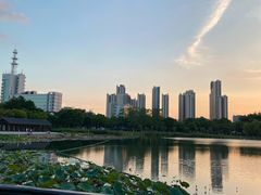 -映月湖公园