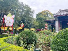-白家大院·王府宫廷菜(苏州街店)