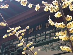 -山东师范大学(千佛山校区)