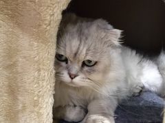 -小时光咖啡馆(开森度假森林店)