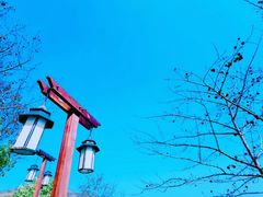 -天目湖涵田度假村