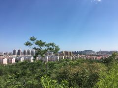 -府君山公园