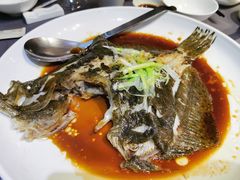 清蒸多宝鱼-徐记海鲜(明德门店)