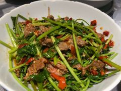 -壹盏灯(惠农店)