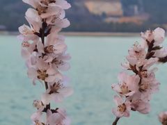 -颐和园