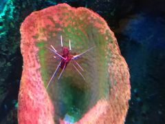 -沈阳海洋探索中心