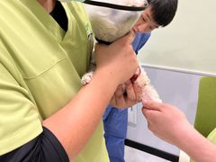 -艾吉宠物医院·疑难杂症转诊中心·猫友好(碧江路院)