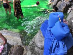 -湖泉半山温泉