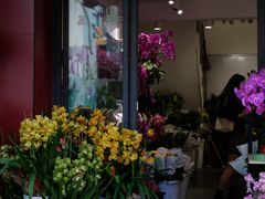 -溪岸路花鸟市场