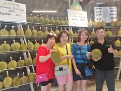 -都念榴莲·城市榴莲