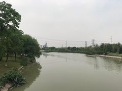 -九里河湿地公园