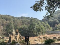 -杭州野生动物世界
