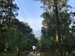 -广州市帽峰山景区