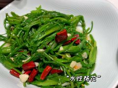 -福照楼汽锅鸡·云南菜(护国路店)