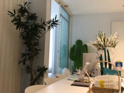 -姜美堂·蒸姜除湿の纤体美颜馆