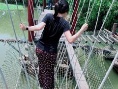 -长兴太湖图影湿地文化园