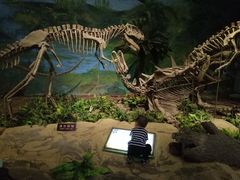 -自贡恐龙博物馆