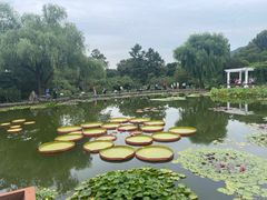 -国家植物园南园