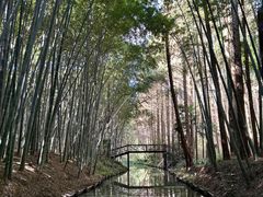 -同里国家湿地公园