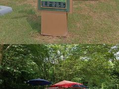 -桤木河湿地公园