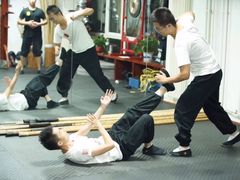 -国际咏春拳联合会拳馆俱乐部