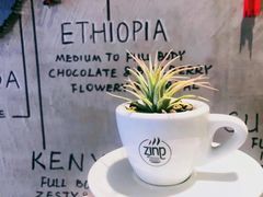-ZING COFFEE 镜咖啡