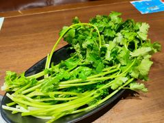 -快乐小羊·内蒙牛羊肉火锅(流花中心店)