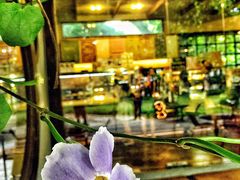 IBERRY-莓园冰淇淋店